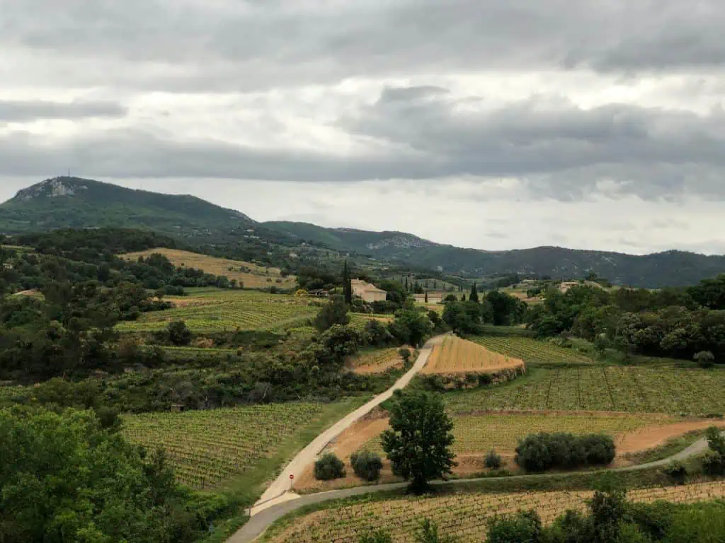 A scenic landscape featuring rolling hills covered with vineyards under an overcast sky. A narrow road winds through the green and brown fields, with scattered trees and a few buildings nestled among the hills. The background showcases a range of hills and mountains, with lush vegetation and patches of forest.